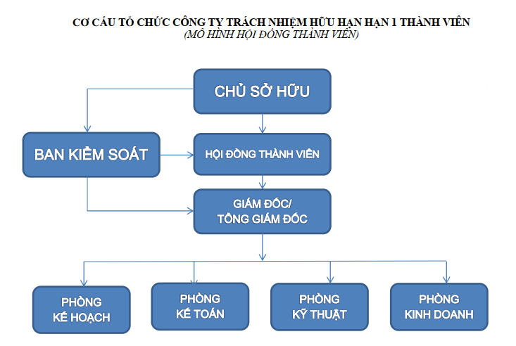 cong-ty-trach-nhiem-huu-han-1-thanh-vien-06