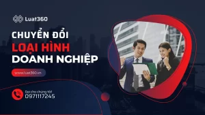 dich-vu-chuyen-doi-loai-hinh-cong-ty
