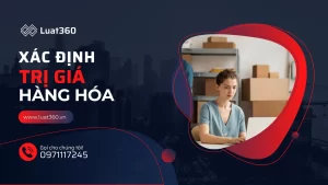 dich-vu-xac-dinh-truoc-tri-gia-hang-hoa-xuat-nhap-khau