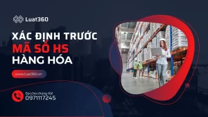 dich-vu-xac-dinh-truoc-ma-so-hang-hoa-hs-code