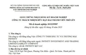 thanh-lap-cong-ty-tnhh-dau-tu-va-thuong-mai-infinity