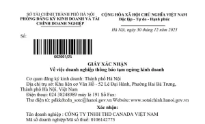 gia-han-tam-ngung-kinh-doanh-cong-ty-tnhh-thd-canada-viet-nam